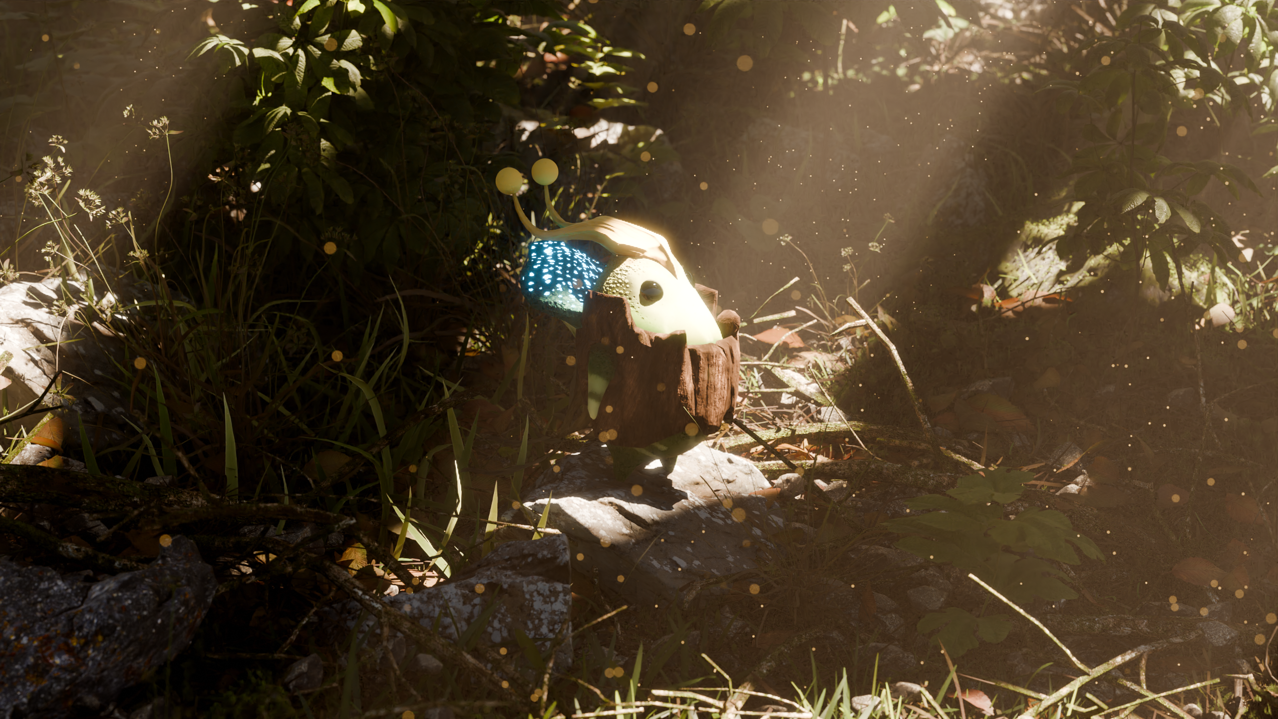 Kodama